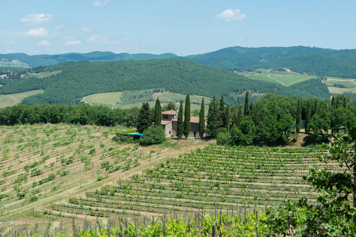 vigne, villa LisiDor, Toscana